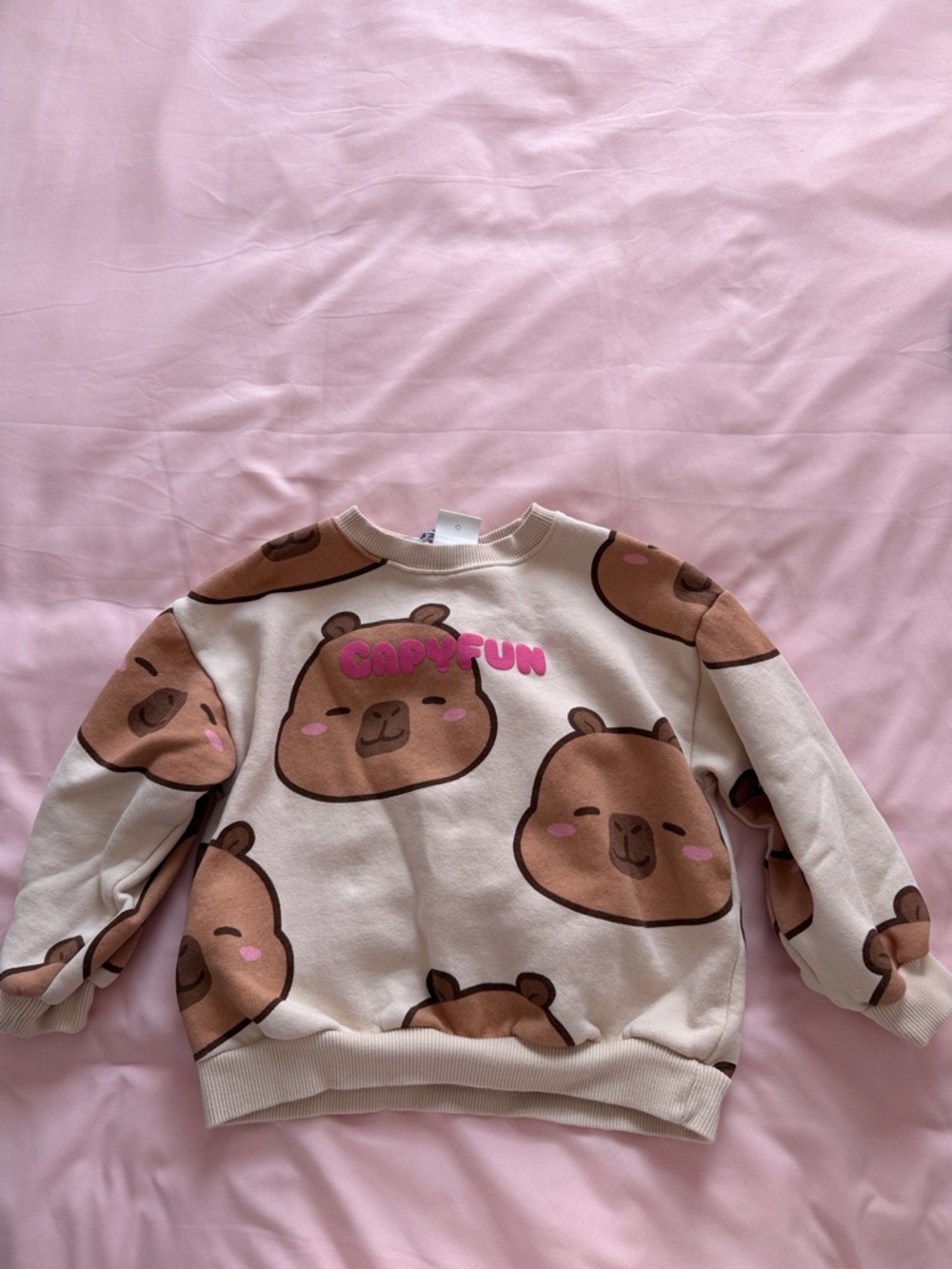 Zara sweater
